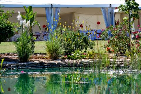 Excelente Propriedade Rural no Coração do Algarve