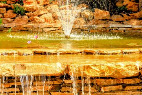 Excelente Propriedade Rural no Coração do Algarve