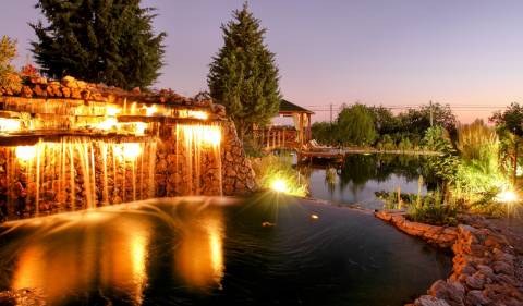 Excelente Propriedade Rural no Coração do Algarve