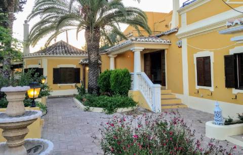 Excelente Propriedade Rural no Coração do Algarve