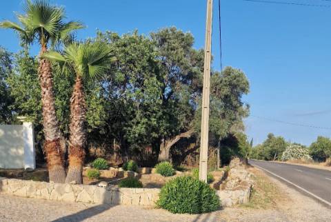 Excelente Propriedade Rural no Coração do Algarve