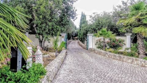 Excelente Propriedade Rural no Coração do Algarve