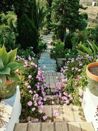 Moradia T2 com Piscina e Privacidade a 15 Min de Tavira