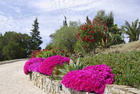 Moradia T2 com Piscina e Privacidade a 15 Min de Tavira