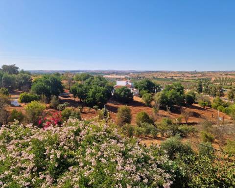 Apartamento T1 com Pátio e um Terraço Panorâmico, perto da Praia Verde