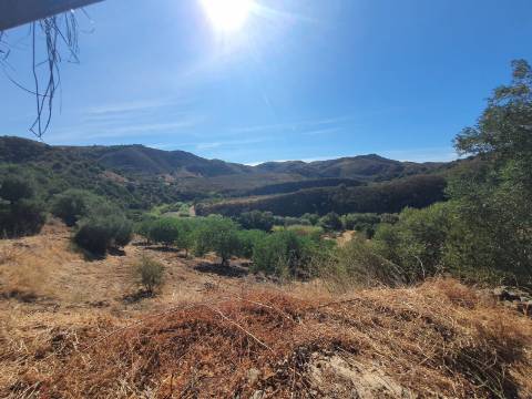 Moradia Tradicional T2 com anexo para venda no campo a 20 minutos de Tavira