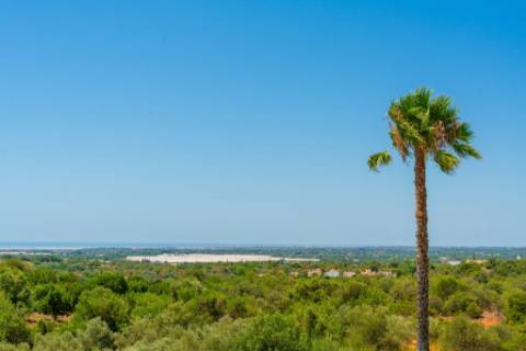 Quinta com Moradia T7+1 com Piscina, Vista Mar, Picadeiro e espaços independentes em Santo Estêvão