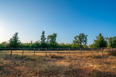 Quinta com Moradia T7+1 com Piscina, Vista Mar, Picadeiro e espaços independentes em Santo Estêvão