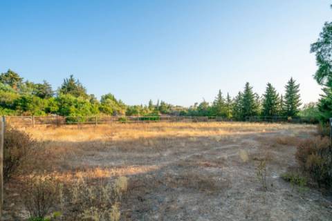 Quinta com Moradia T7+1 com Piscina, Vista Mar, Picadeiro e espaços independentes em Santo Estêvão