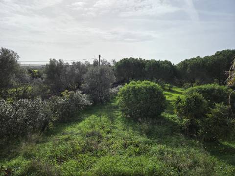 Moradia T5 com Vista Mar e Piscina - na zona da Ria Formosa