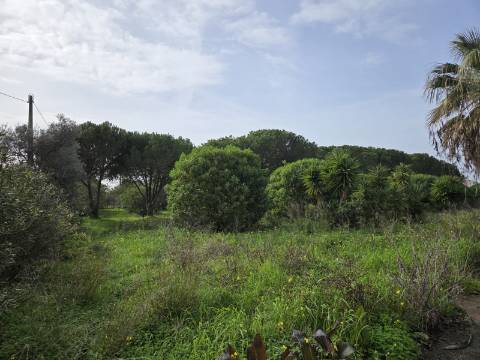 Moradia T5 com Vista Mar e Piscina - na zona da Ria Formosa