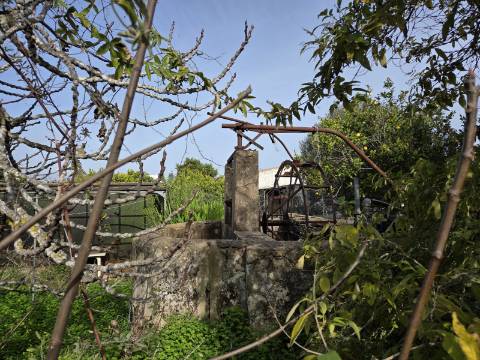 Moradia T5 com Vista Mar e Piscina - na zona da Ria Formosa