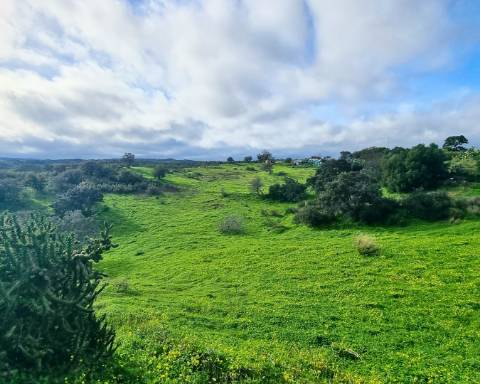 Moradia térrea T1 com ruína e terreno em Alcarias Grandes