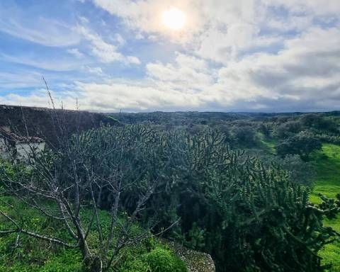 Moradia térrea T1 com ruína e terreno em Alcarias Grandes