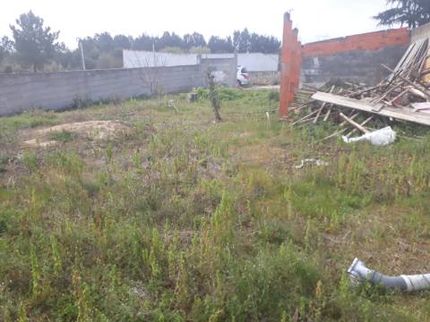 Terreno Oliveira do Bairro