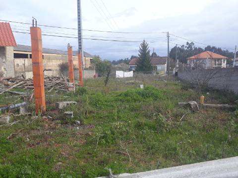 Terreno Oliveira do Bairro