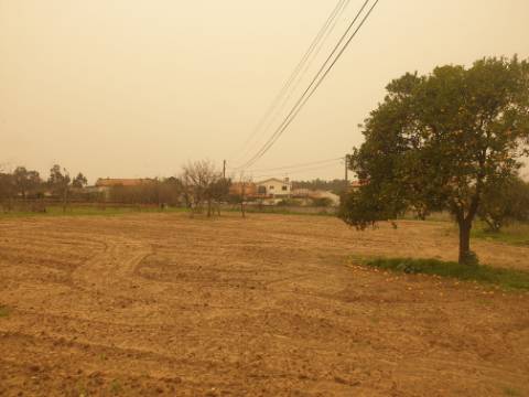 Terreno para construção Oliveira do Bairro