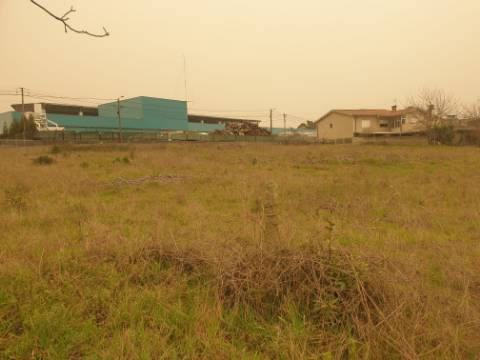 Terreno para construção Oliveira do Bairro