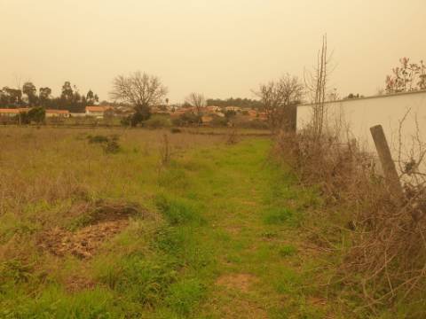 Terreno para construção Oliveira do Bairro