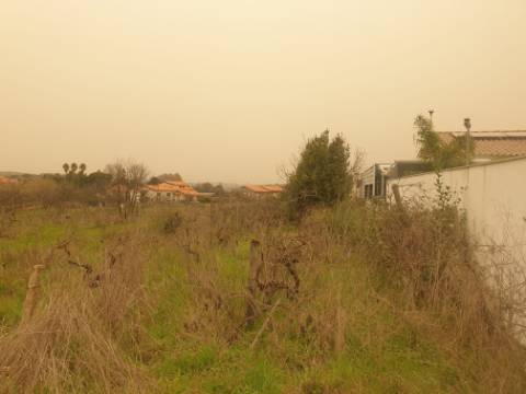 Terreno para construção Oliveira do Bairro