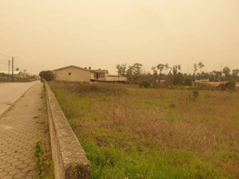 Terreno para construção Oliveira do Bairro