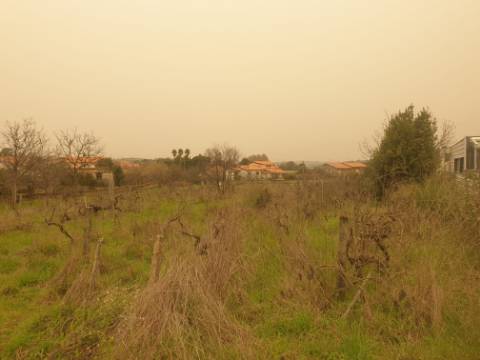 Terreno para construção Oliveira do Bairro