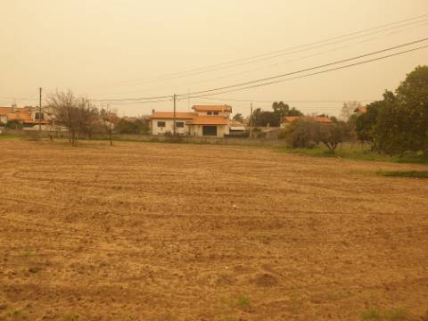 Terreno para construção Oliveira do Bairro