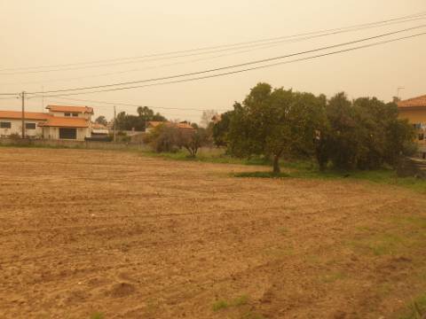 Terreno para construção Oliveira do Bairro