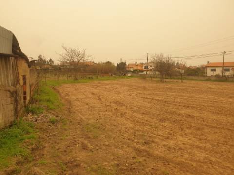 Terreno para construção Oliveira do Bairro