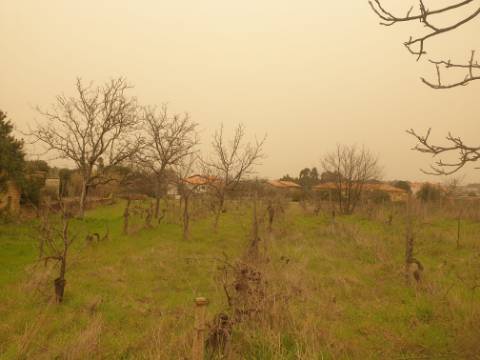 Terreno para construção Oliveira do Bairro