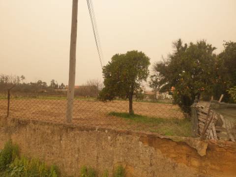 Terreno para construção Oliveira do Bairro