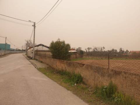Terreno para construção Oliveira do Bairro