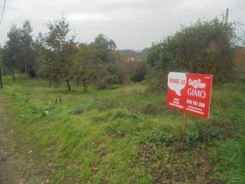 Terreno Arred. Oliveira do Bairro