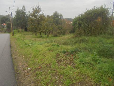 Terreno Arred. Oliveira do Bairro