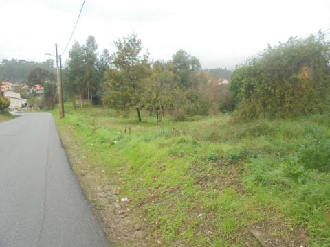 Terreno Arred. Oliveira do Bairro
