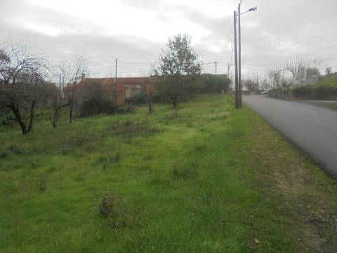 Terreno Arred. Oliveira do Bairro