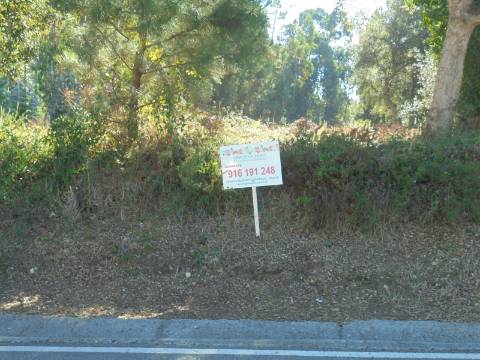 Terreno Arredores de Oliveira do Bairro