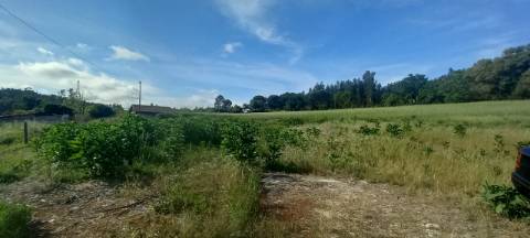 Terrenos para venda perto de Aveiro