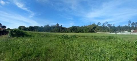 Terrenos para venda perto de Aveiro