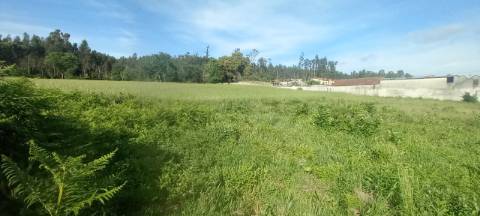Terrenos para venda perto de Aveiro