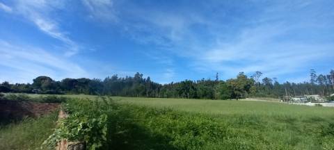 Terrenos para venda perto de Aveiro