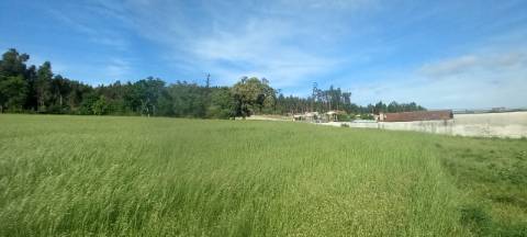 Terrenos para venda perto de Aveiro