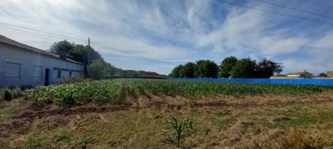 Terreno a poucos minutos do Troviscal