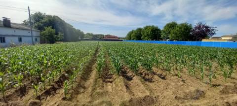 Terreno a poucos minutos do Troviscal