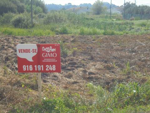 Terreno Arredores Oliveira do Bairro