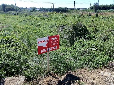 Terreno Arredores Oliveira do Bairro