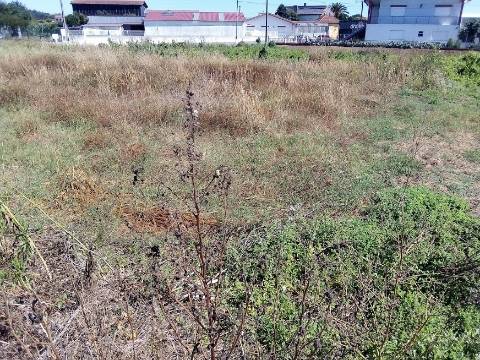 Terreno Arredores Oliveira do Bairro
