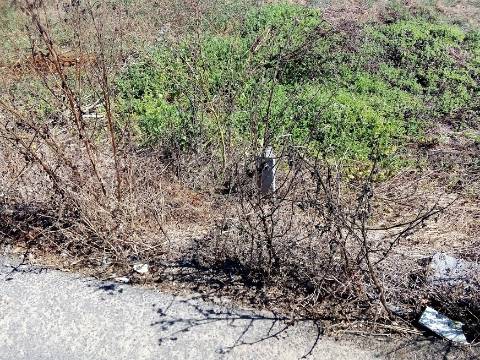 Terreno Arredores Oliveira do Bairro