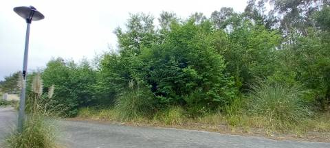 Terreno para construção a 5min do centro de Águeda