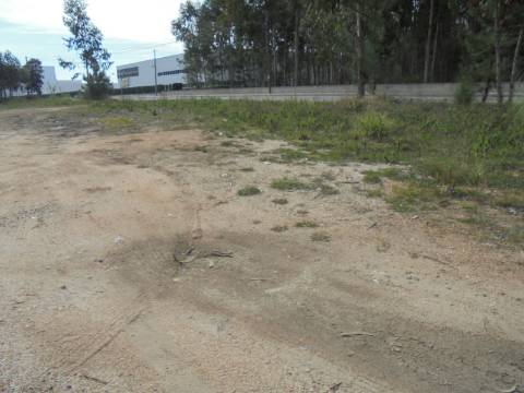 Terreno Arredores de Oliveira do Bairro